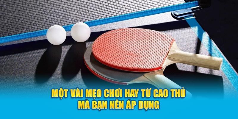 Tổng hợp những kinh nghiệm cược bóng bàn hay nhất cho tân binh