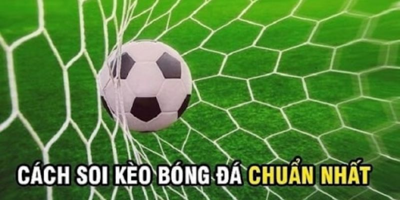 Cách đọc các dạng cá độ cơ bản hiện nay của nhà cái